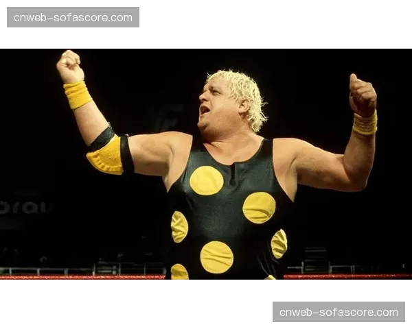 WWE冠军头衔赛：科迪·罗兹对战兰迪·奥顿更具吸引力与关注度